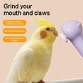 thumbnail image 6 of Pet Nail Grinder, Ongmies Bird Nail Grinder, Bird Beak Grinder, Silenced Bird Nail File, Suitable for Parrots, Conures, Cockatiels, and Small Pets, 6 of 6