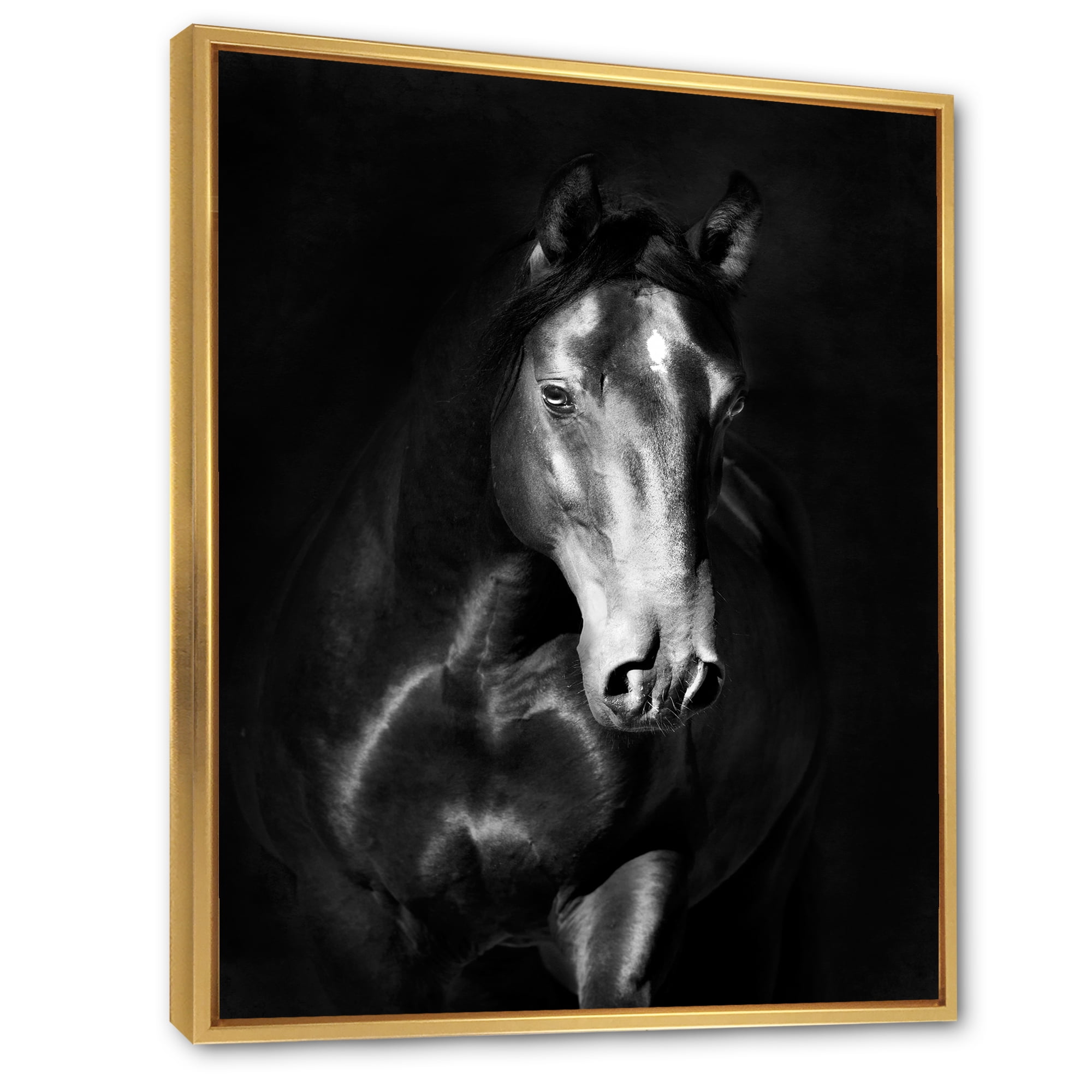 Designart 'Close Up Portrait Of Black Kladruby Horse' Farmhouse Framed Canvas Wall Art Print