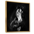 thumbnail image 3 of Designart 'Close Up Portrait Of Black Kladruby Horse' Farmhouse Framed Canvas Wall Art Print, 3 of 5
