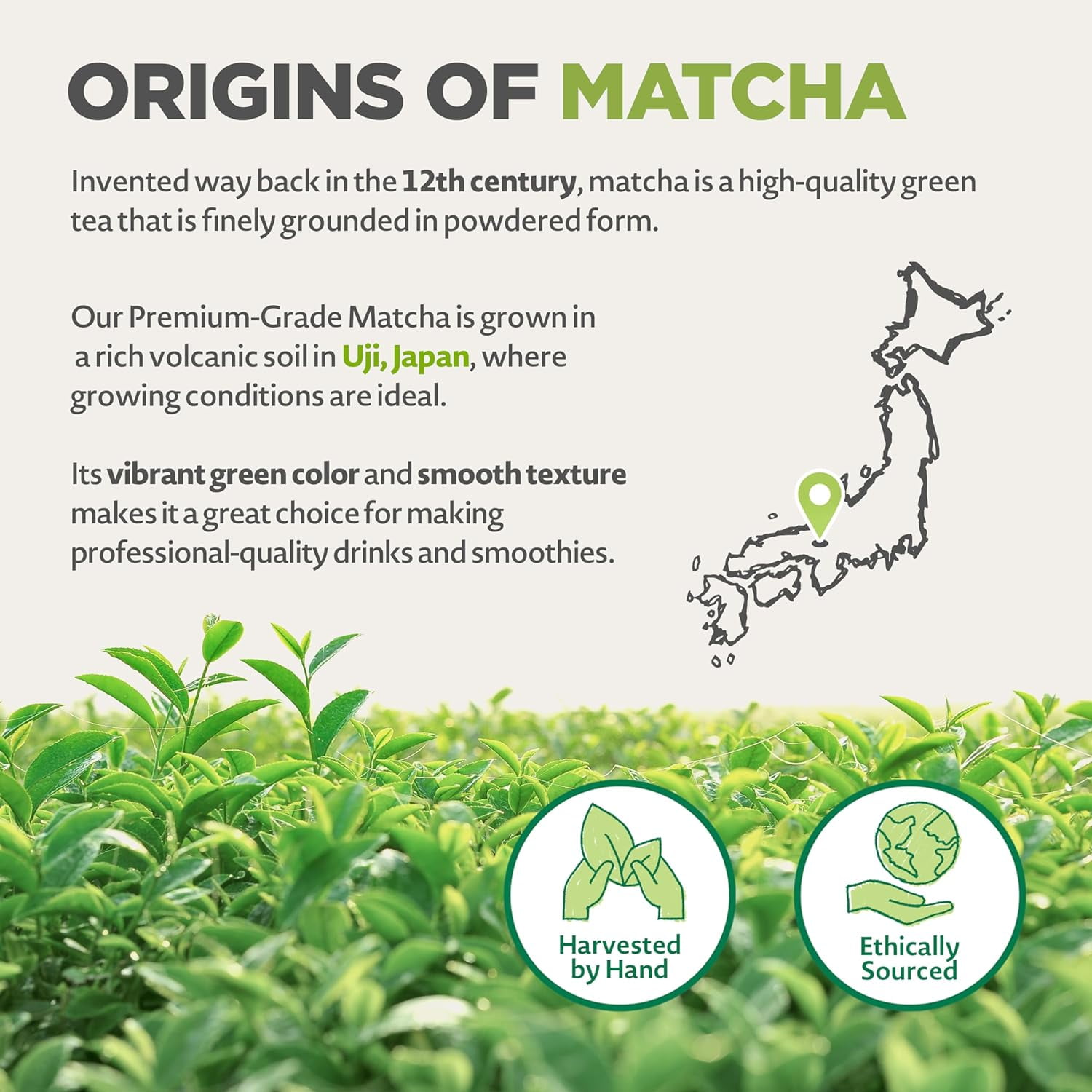 NaturaleBio Organic Matcha Green Tea Powder USDA Organic, Gluten-Free 4 oz