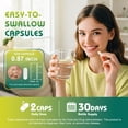 thumbnail image 6 of Akkermansia Probiotic Capsules | GLP-1 Supplement with Probiotics 15B CFU, Ceylon Cinnamon, Turmeric - 60 Capsules, 6 of 7