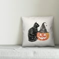 thumbnail image 3 of Creative Products Halloween Cat and Pumpkin 16x16 Spun Poly Pillow, 3 of 3