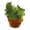 M, variant on S 9.8 Inch Mini Cactus Plush Stuffed Toy Plant Soft Cuddle Pillow Home Decor Ornament For Kids Room