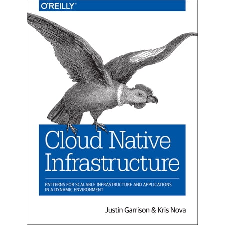 Pre-Owned Cloud Native Infrastructure: Patterns for Scalable Infrastructure and Applications in a Dynamic Environment (Paperback) 1491984309 9781491984307