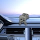 thumbnail image 4 of Adorno de gato que asiente con la cabeza para decoración de coche, manualidades creativas, regalo, animal decorativo en movimiento Gris, 4 of 9