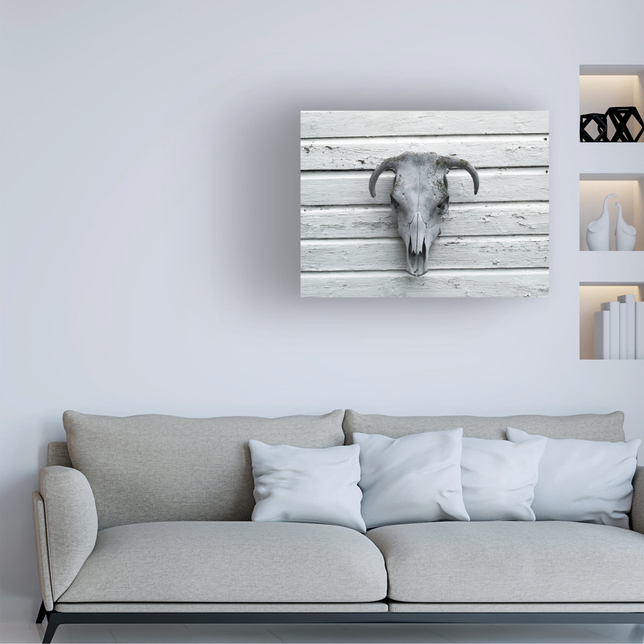 Canvas Wall Art - Clive Branson 'Skeleton of Calf's head' Wall Art for Living Room, Bedroom, or Office Décor by Trademark Fine Art - 47 x 35 Inches