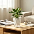thumbnail image 5 of Medium Self Watering Flowerpot, Matte Octagonal Design for Desktop Mint Spider Plant, Worry Free During Travel Vacations, 5 of 6