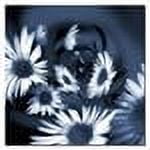 Trademark Art "Dancing Flowers" Canvas Art by Philippe Sainte-Laudy