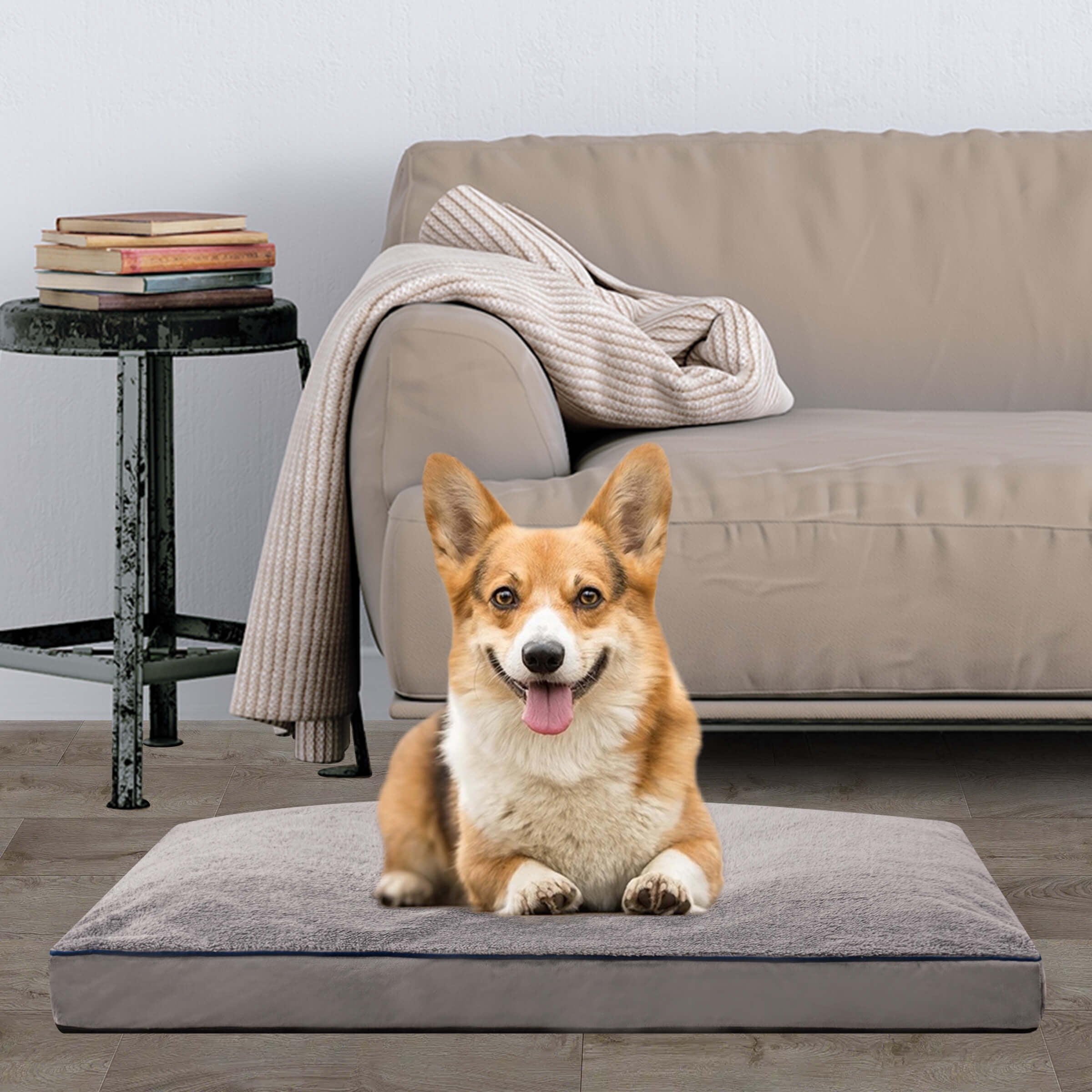Subrtex Shredded Foam Soft Dog Bed, with Removable Washable Cover Anti-Slip Bottom, 30 x 21 x 3 inch