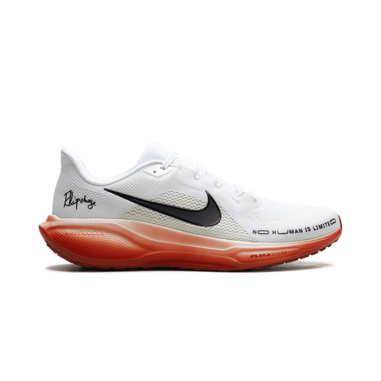 NIKE MENS Air Zoom Pegasus 41  display picture 1