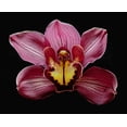 thumbnail image 2 of Reynolds, Richard 14x12 Gold Ornate Wood Framed with Double Matting Museum Art Print Titled - Orchid Eikoh, 2 of 4