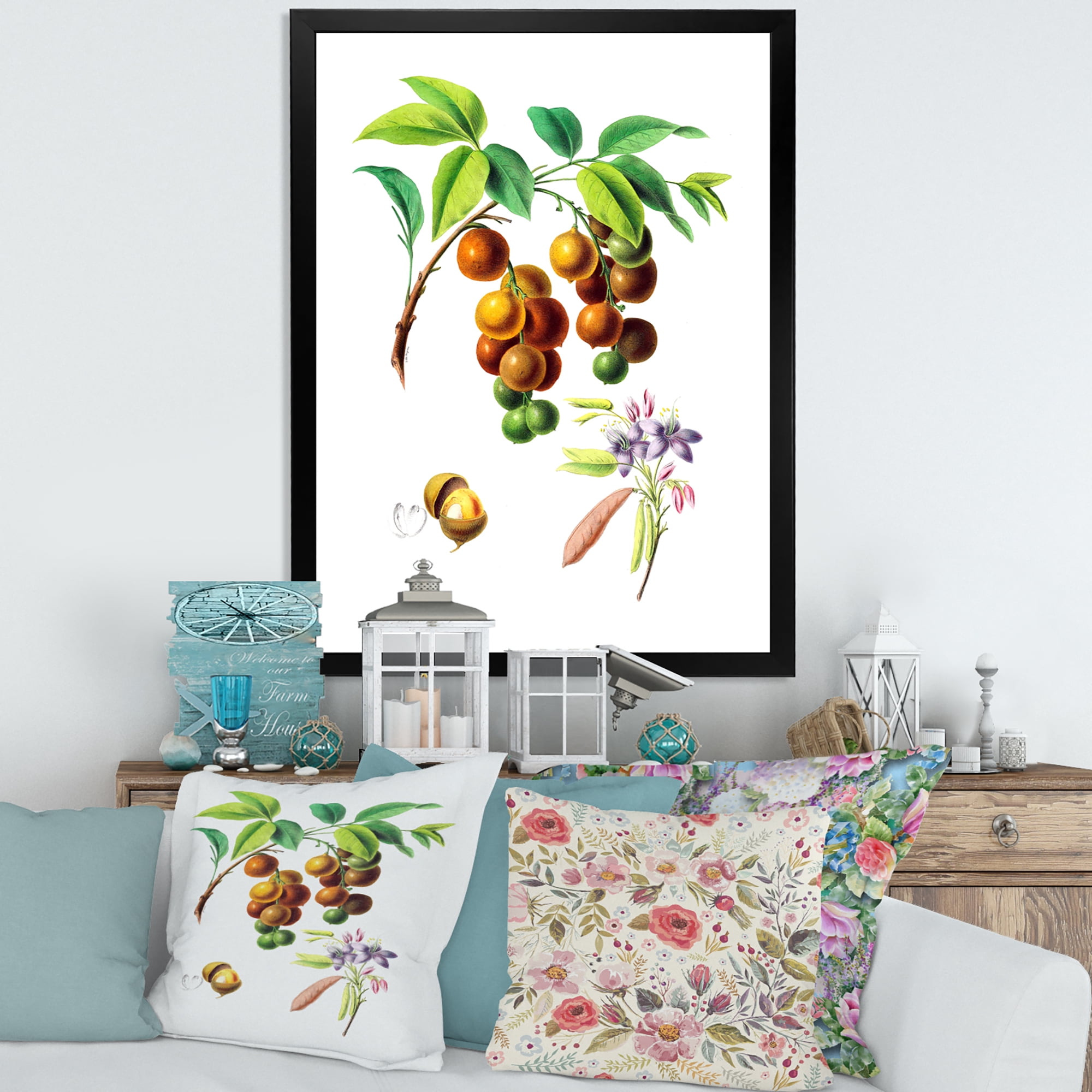 Designart 'Ancient Fruits III' Farmhouse Framed Art Print