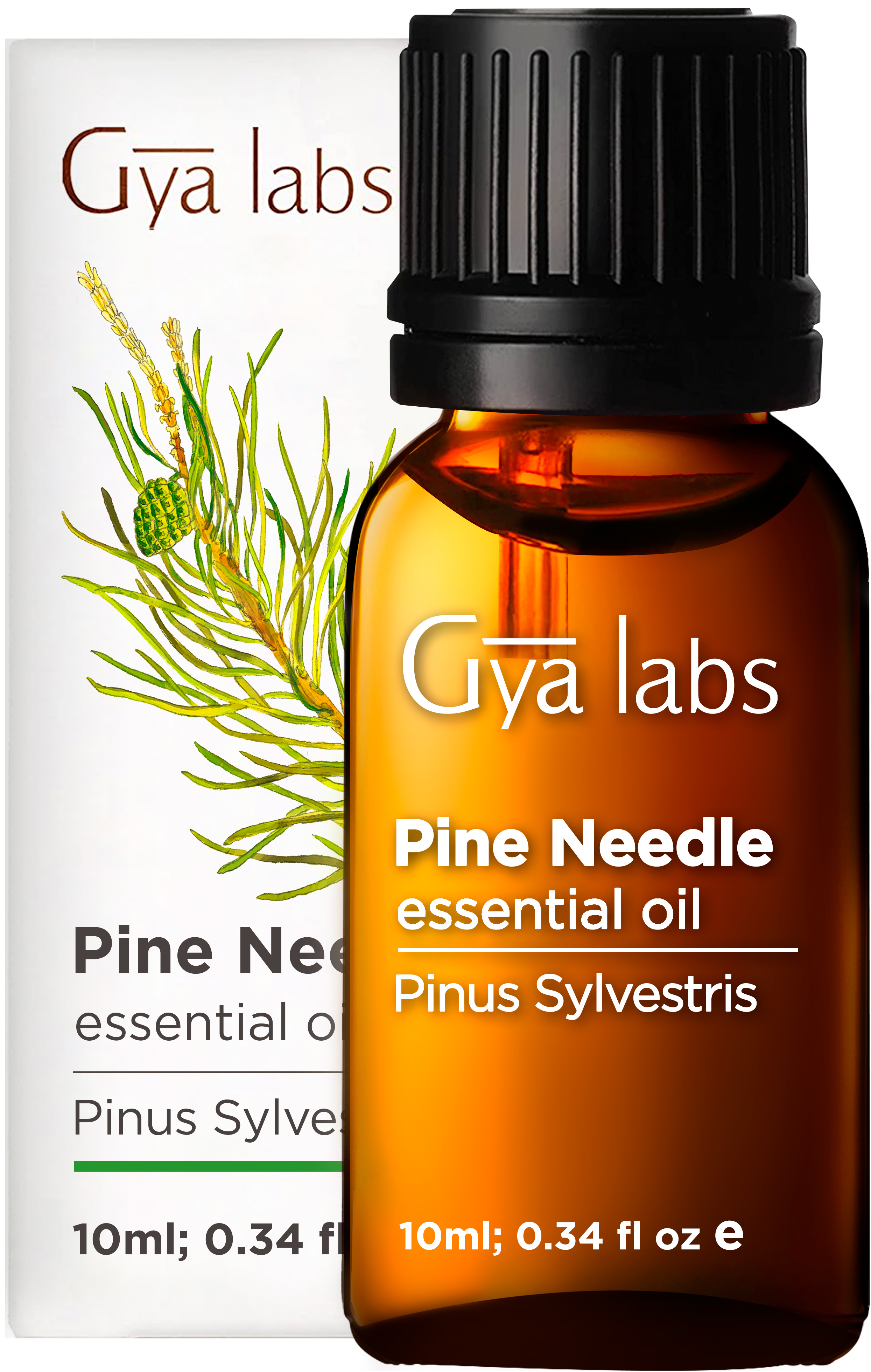 Gya Labs Pine Essential Oils for Diffuser 100 Pure Therapeutic Grade