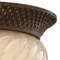 thumbnail image 3 of Hinkley Lighting - Two Light Flush Mount - Outdoor - Plantation - 2 Light, 3 of 7
