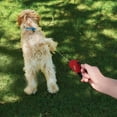 thumbnail image 6 of Nite Ize RadDog Retractable Pocket Leash - Red - Small, 6 of 8