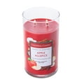 thumbnail image 3 of Colonial Candle Classic Apple AllSpice Scented Candle, 2 Wick, 19 oz, 120 Hours Burn, Warm & Spicy, 3 of 7