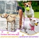 thumbnail image 3 of 12 Piezas de Botas Impermeables para Perros Zapatos para Cachorros Botas de Lluvia Antideslizantes de Color Caramelo Botas para Mascotas Adecuadas para Perros pequeños y medianos Nieve y Lluvia Talla S Rojo Verde, 3 of 5