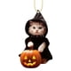 thumbnail image 2 of Colgante Plano de Calabaza para Coche de Acrílico | Adorno Ligero 2D para Llavero | Accesorio Elegante para Vehículos | Regalo Perfecto para Amantes de Los Coches | Bolso Multiusos y Decoración de In, 2 of 6