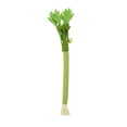 thumbnail image 6 of Realistic Celery Cat Chew Toy, Durable Felt Dental Teething Toy for Kittens & Aggressive Chewers, Interactive Catnip Toy for Indoor Play, 6 of 7