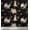Black, variant on Soimoi Cotton Duck Fabric Floral,Sheltie & Pekingese Dog Printed Fabric 1 Yard 42 Inch Wide