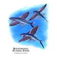 thumbnail image 3 of CafePress - Bandwing Flying Fish Mug - 11 oz Ceramic Mug - Novelty Coffee Tea Cup, 3 of 6