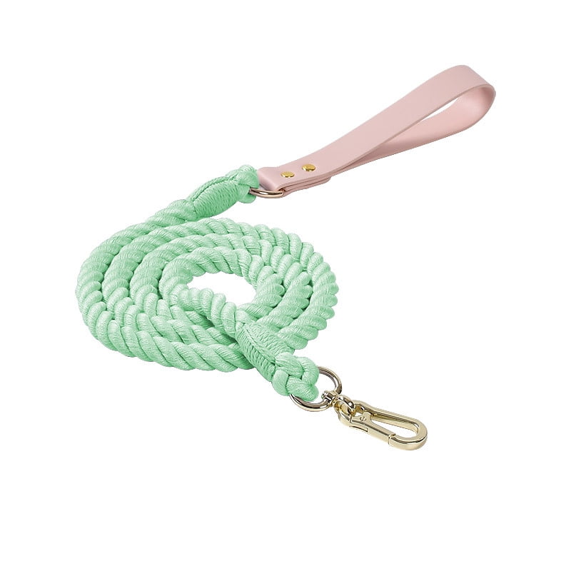 Dog Rope with Soft Leather Handle Thick Dog Lead Leash for Large Medium Small Dogs (Mint Green, 120cm*1.2cm)