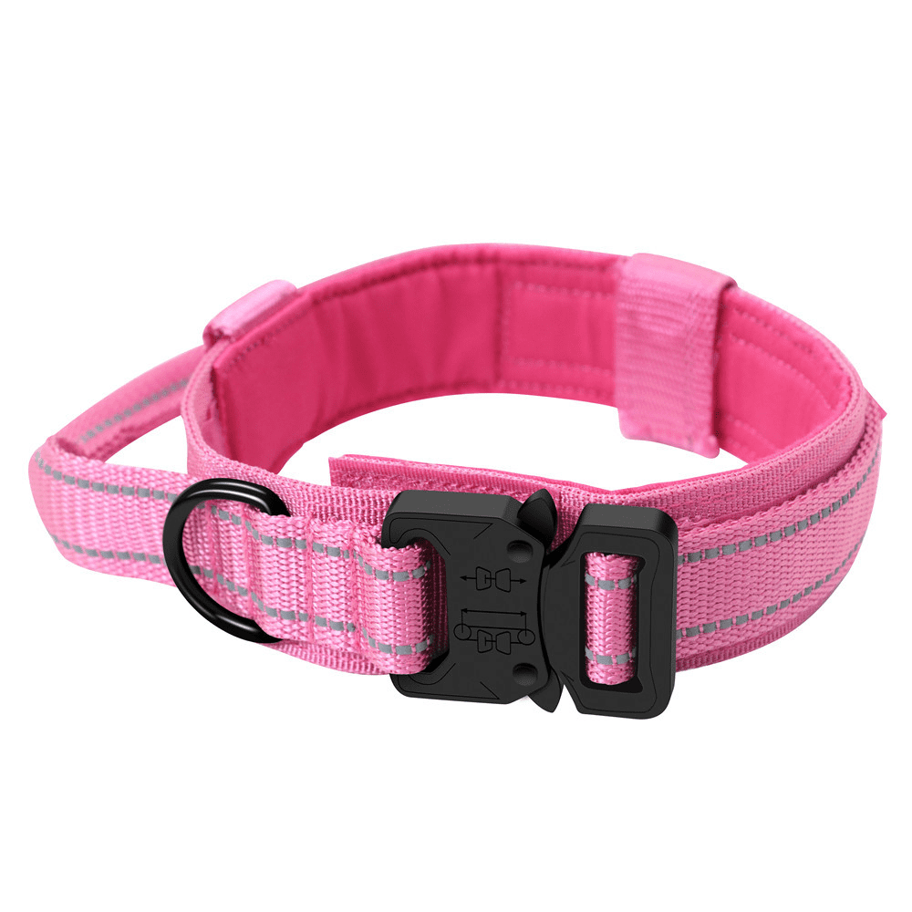 Metal clasp cheap dog collars