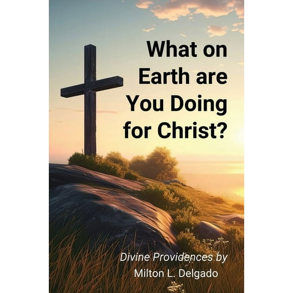What on Earth are you Doing for Christ? (Paperback)