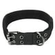 thumbnail image 2 of Collar para Perros de Diseñador Collares para Perros Lindos para Niña Mujer Perros Pequeños Medianos y Grandes Collares de Nylon de Seguridad Ajustables Collar para Perros ANGGREK Otros, 2 of 8