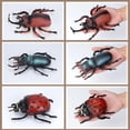 thumbnail image 5 of Realistic Large Rhinoceros Beetle Figurine Toy - Educational Insect Model for Kids' Science Projects & Nature Exploration, PVC Bug Toy (5.11" L), 5 of 7