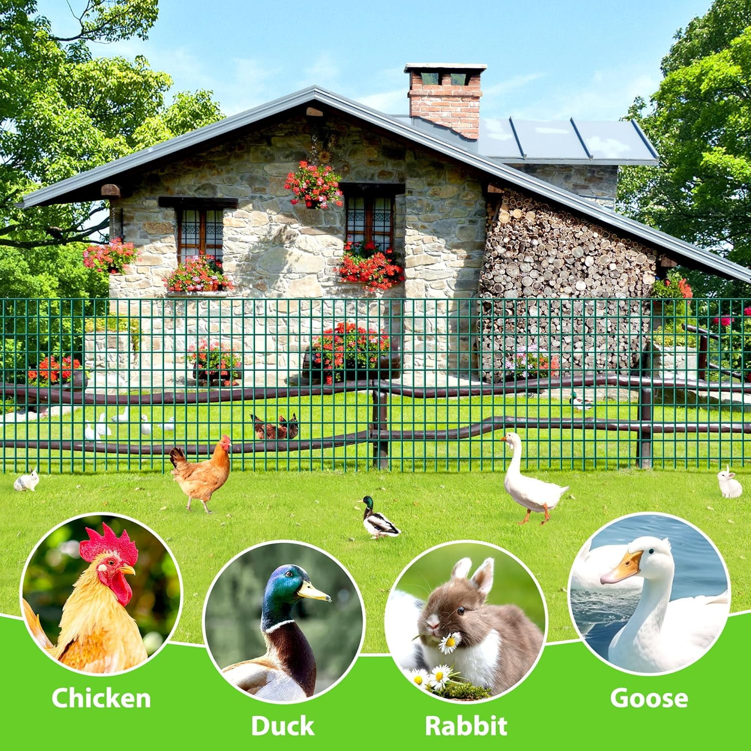 Green PVC Coated Welded Wire Fence 36 Inch x 50 Foot, 2 Inch x 3 Inch 16GA, Garden Border Fencing Roll Vinyl Coating Metal Wire Mesh for Yard Vegetable Plant Protection Poultry Netting
