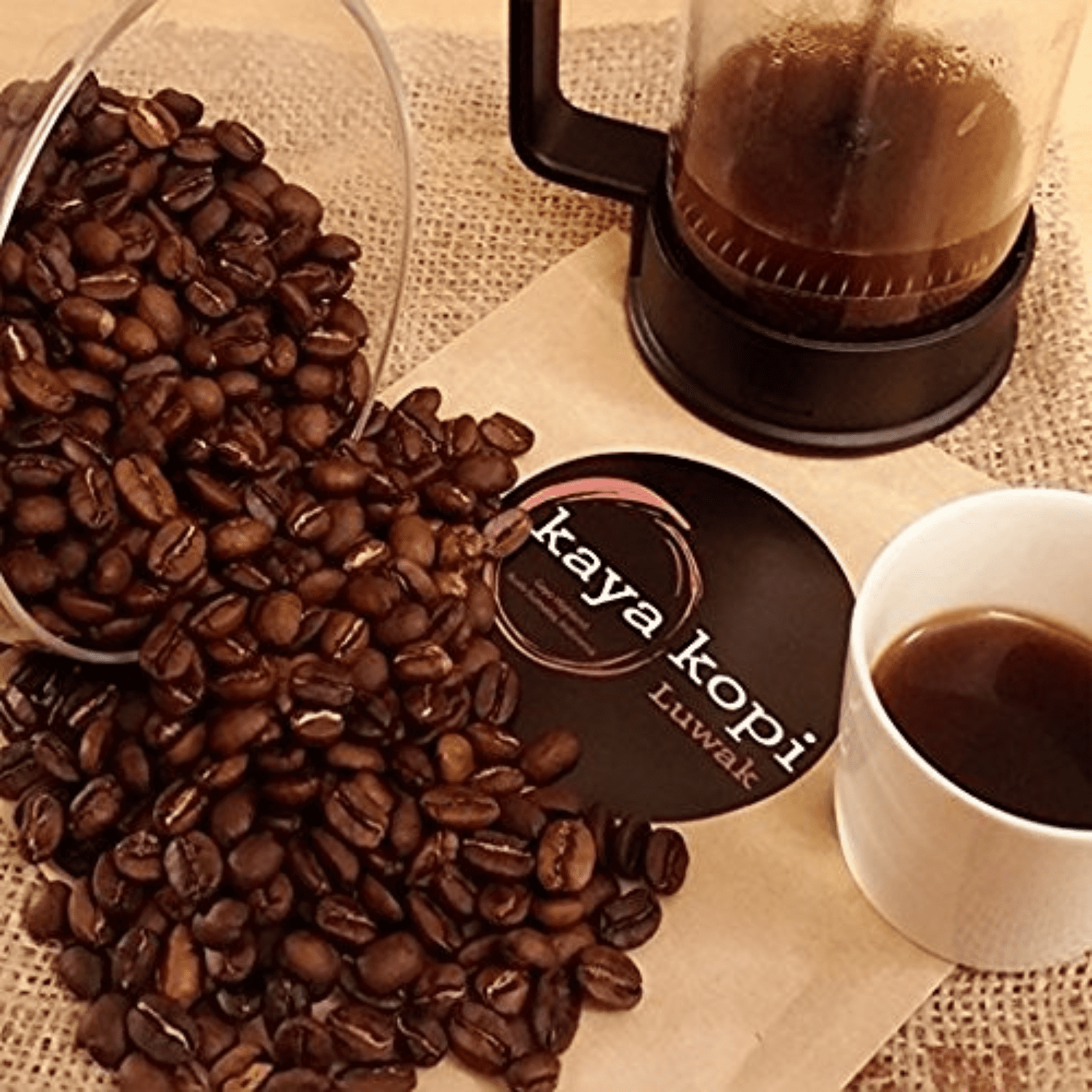 Premium Kaya Kopi Luwak From Indonesia Wild Palm Civets Arabica Coffee Beans, 16 Ounce