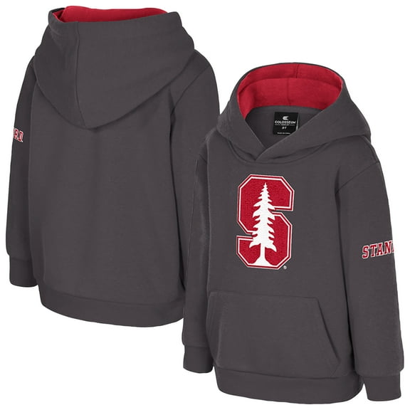 Toddler Colosseum  Charcoal Stanford Cardinal Big Logo Volume Fleece Pullover Hoodie