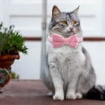 thumbnail image 2 of Cat Soft Velvet With Bow Tie Bell Breakaway Boy Girl Basic Pure Colors Male Female, 2 of 9