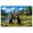 Color 4, variant on 8 Pack Art Acoustic Panels Sound Absorbing Playful Brown Bear Cubs Mountain Lake Cabin Decorative Soundproof Wall Panels Self Adhesive for Recording Studios Office 48"x32"