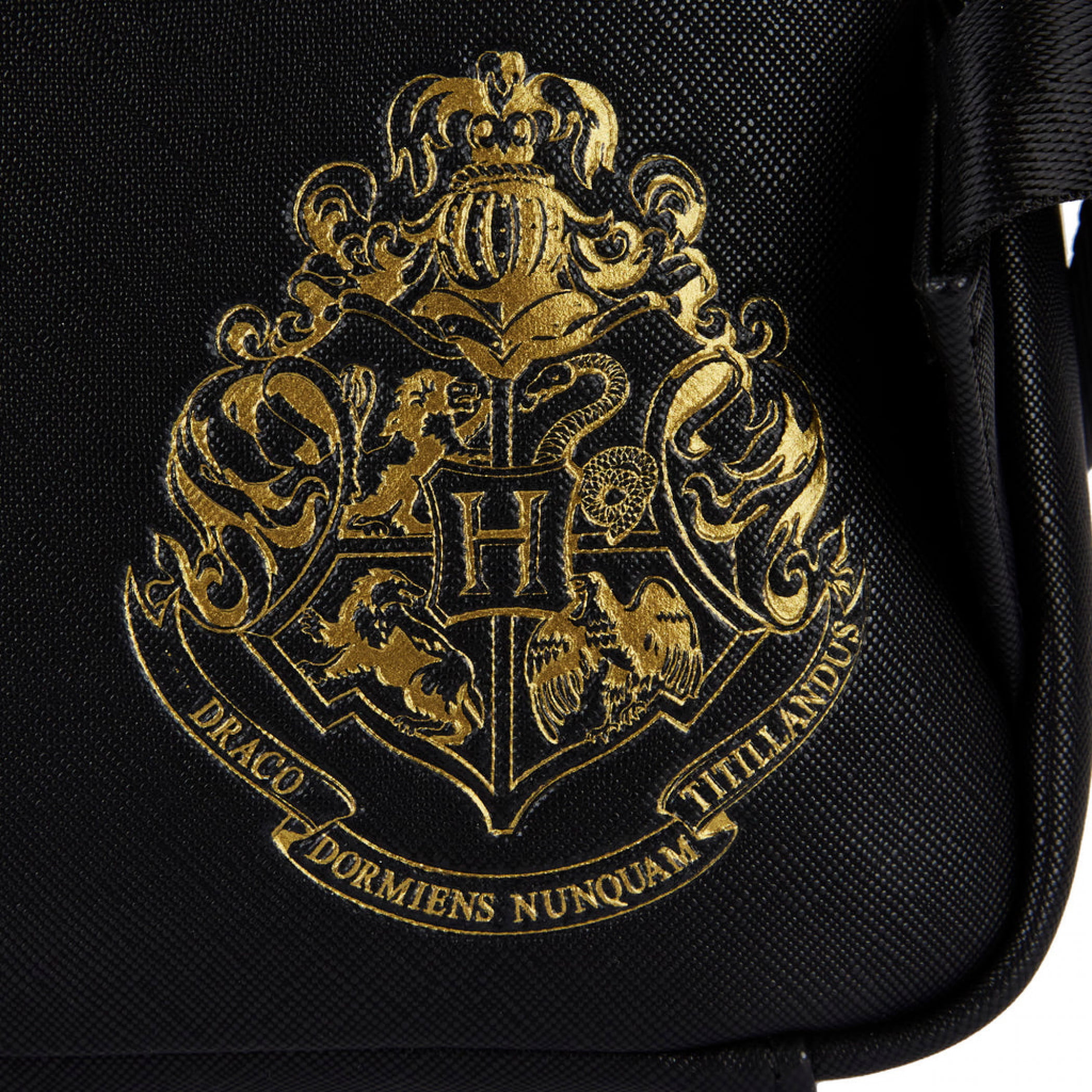 Loungefly Harry Potter Magical Elements - Bolso de hombro con doble correa  para mujer, Multi, Classic