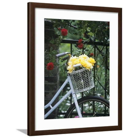 Yellow Roses in Bicycle Basket, Red Climbing Roses Behind Framed Print Wall Art By Alena
