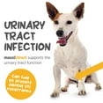 thumbnail image 3 of maxxiUtract Urinary and Bladder Supplement for Dogs - Powder 5.3 oz, 3 of 9