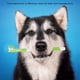 thumbnail image 3 of Juego de cepillos de dientes de dedo para mascotas, cepillo de limpieza para perros de plástico apto para uso alimentario, 3 of 5