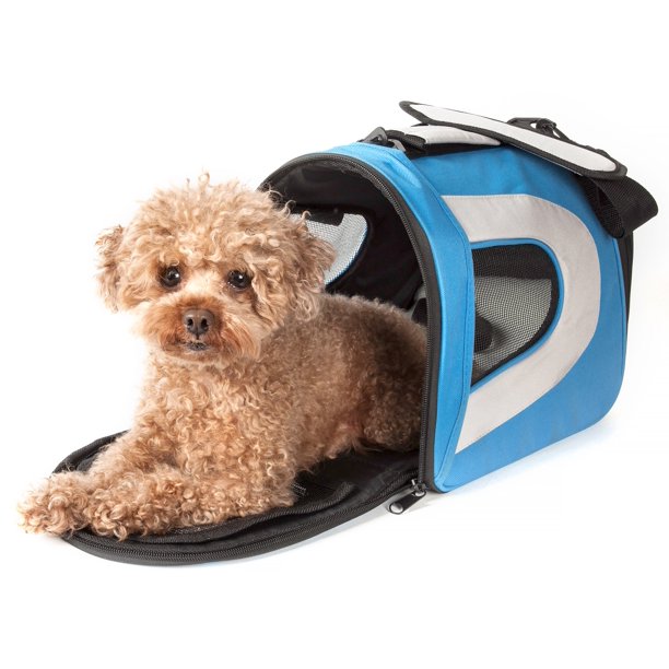 Airline Approved Folding Zippered Sporty Mesh Pet Carrier