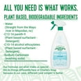thumbnail image 3 of Charlie's Soap, Indoor-Outdoor Cleaner Surface Cleaner, 32 oz -1 Pack, 3 of 7