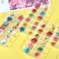 thumbnail image 4 of 1 caja de flores secas mixtas para decoración de uñas, floral natural. yeacher  Calcomanías para uñas, 4 of 7