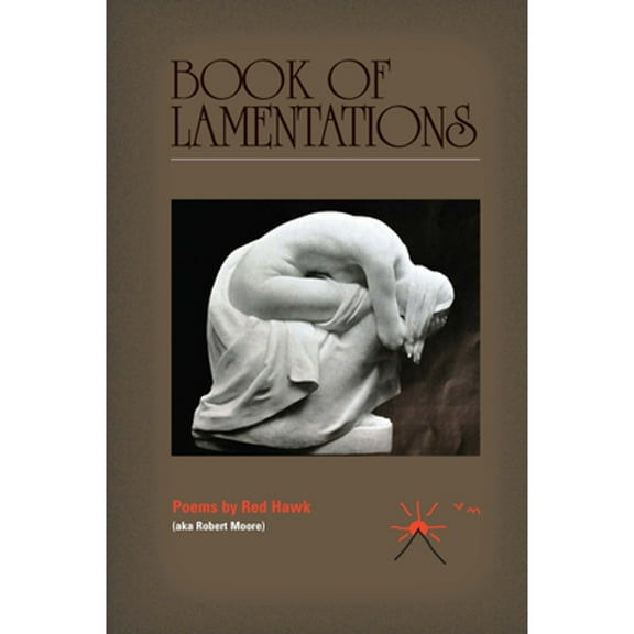 Pre-Owned Book of Lamentations (Paperback) 1734653582 9781734653588