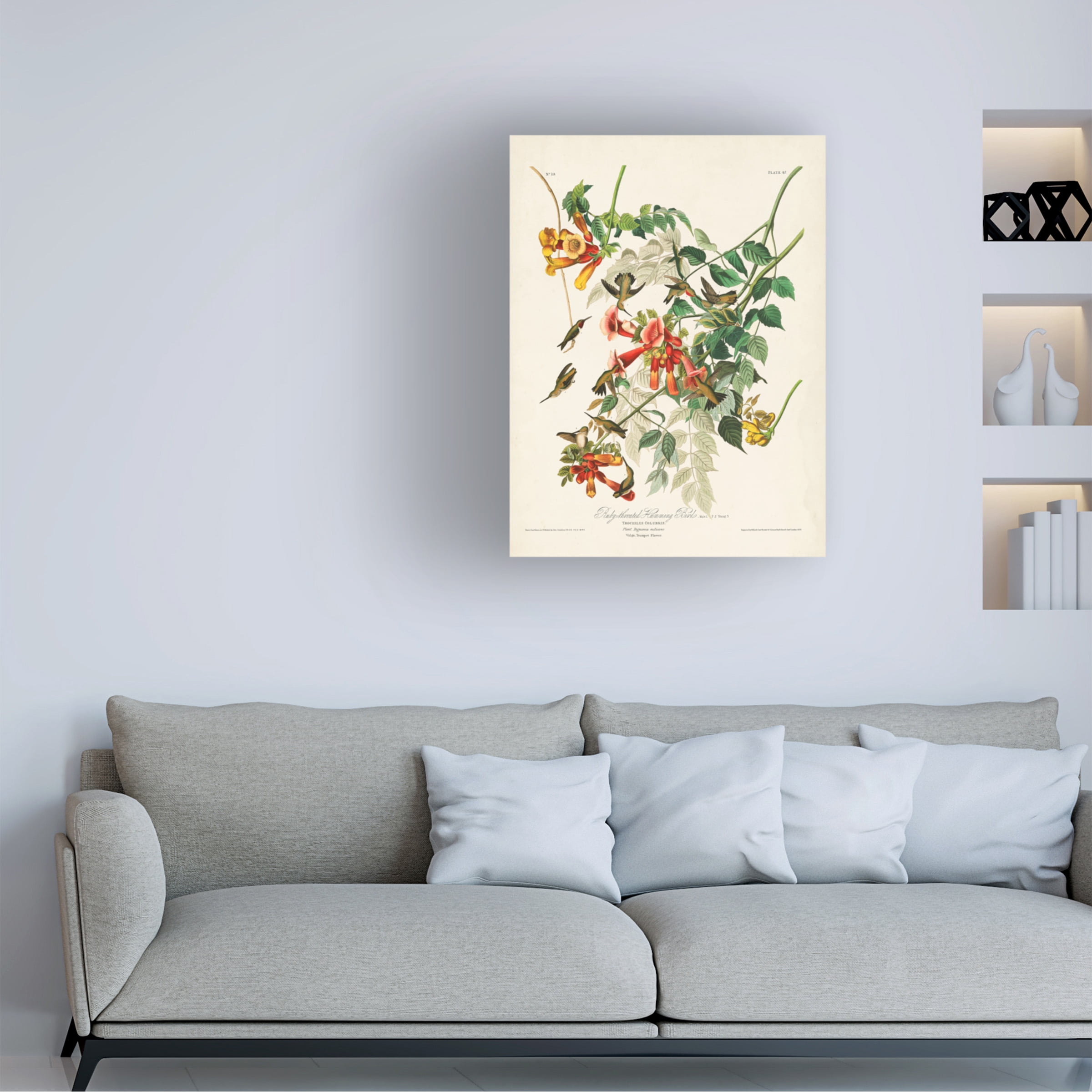 John James Audubon 'Ruby Throated Hummingbird' Canvas Art