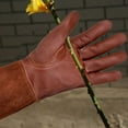 thumbnail image 6 of Rose Pruning Thorn-Proof Gardening Gloves with Forearm Protection for Men and Wo S, 6 of 8