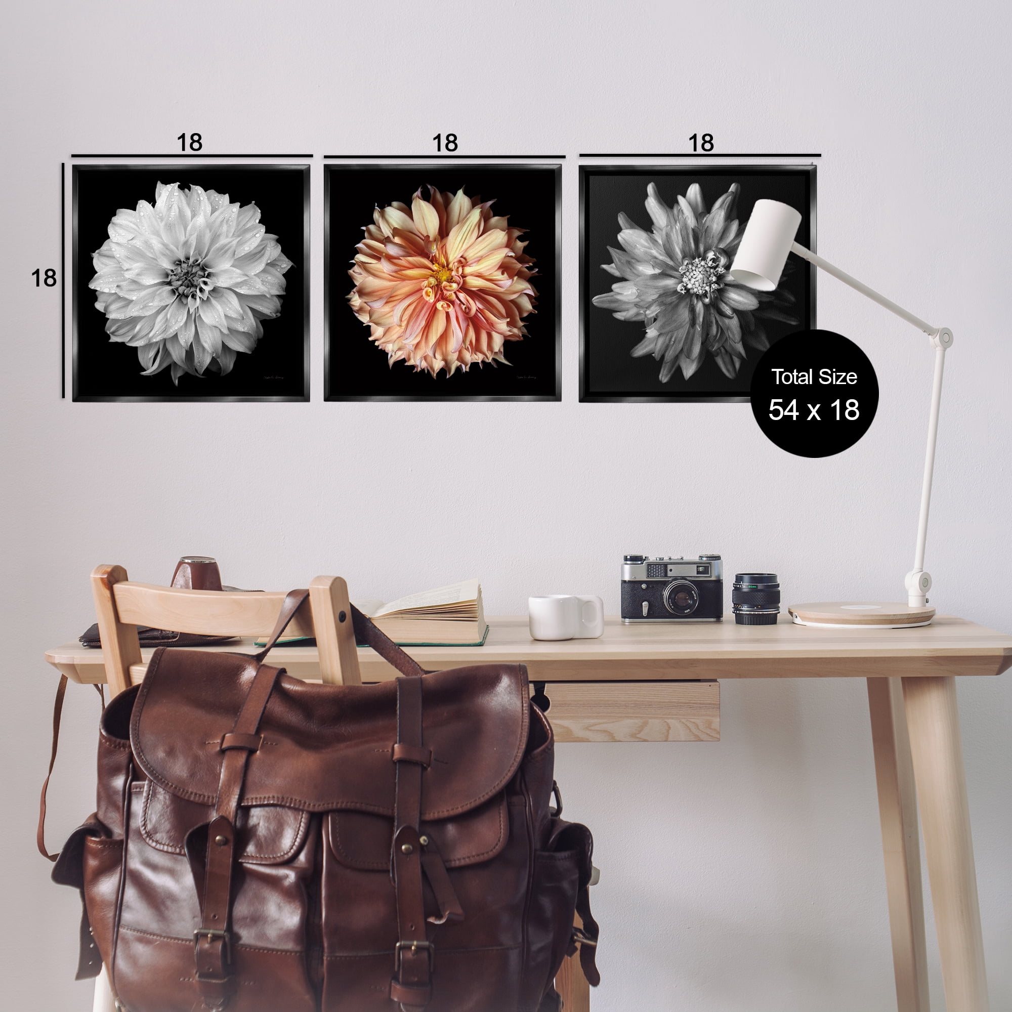 Stupell Industries Detailed Dahlia Photography Plants & Flowers Photography Black Floater Framed Canvas Art Print Wall Art, 18 x 18, Set of 3