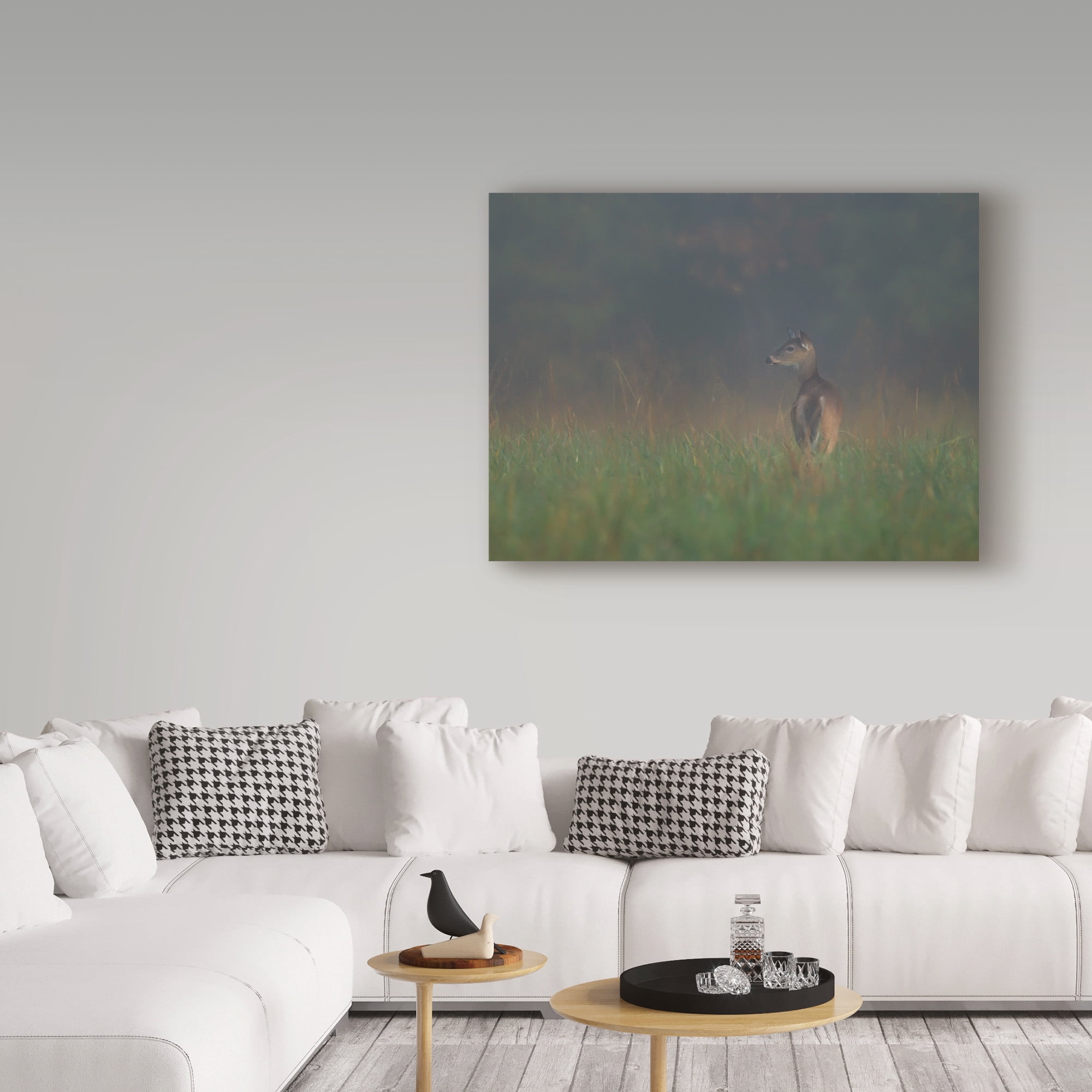 Trademark Fine Art 'Cades Cove Doe' Canvas Art by Galloimages Online