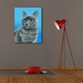 thumbnail image 4 of Epic Graffiti 'Gray Cat' by Rebecca Wang Art, Acrylic Glass Wall Art, 26"x34", 4 of 8
