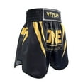 thumbnail image 4 of Boxing Trunks Men's Boxing Combat Shorts Fighting Training Boxing Shorts Printed Quick Drying Muay Thai Shorts Plus Size S-4XL, 4 of 5