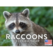 Raccoon 2024 Wall Calendar
